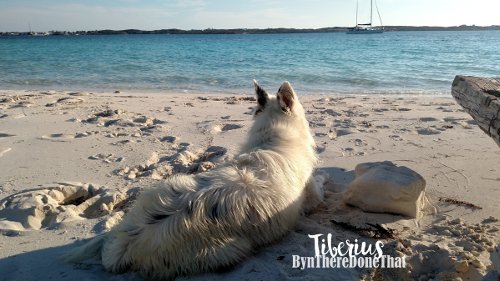 tiberius-beach-boatbkgrnd.jpg