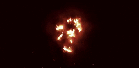 08458336-6B76-4733-8F5E-769439553A9F.gif