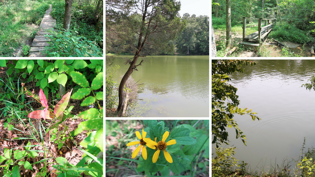 Lieber State Recreation Area at Cagles Mill Lake (15).png