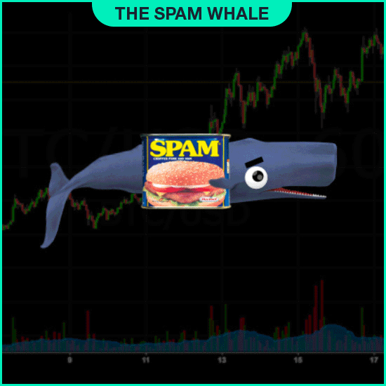 Spam Whale.gif