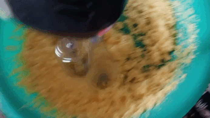 1743112353992.gif