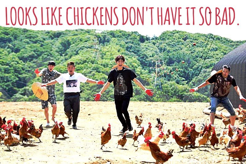 chkrun_peta_exaggerates.jpg
