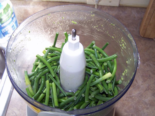 Pesto - veg level crop June 2018.jpg