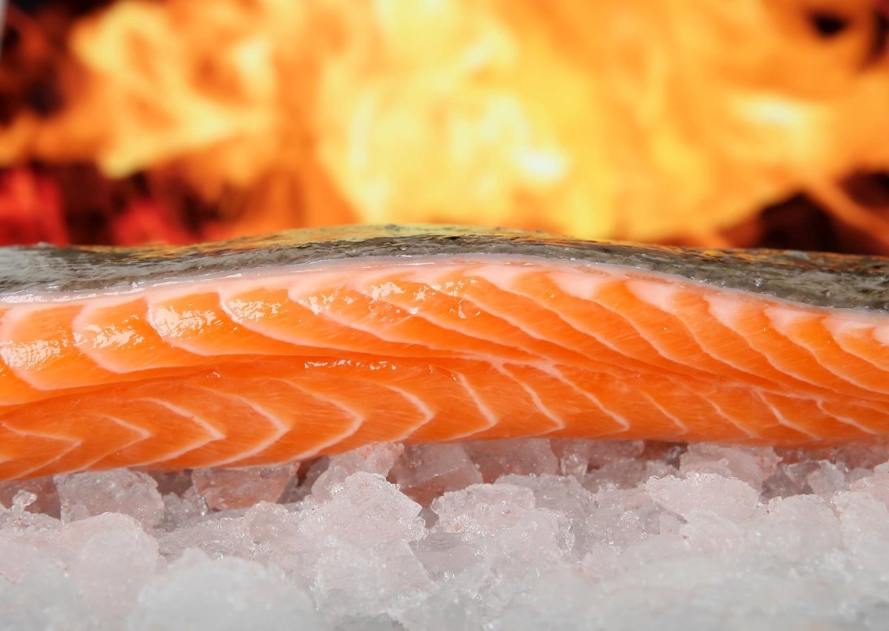 salmon-1238662_1920.jpg