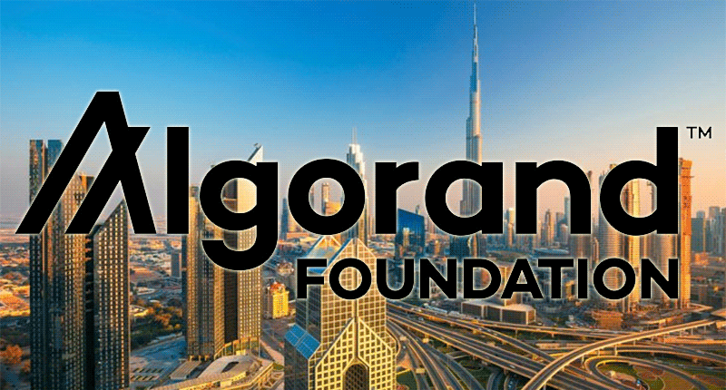 91-Algorand-Foundation.gif