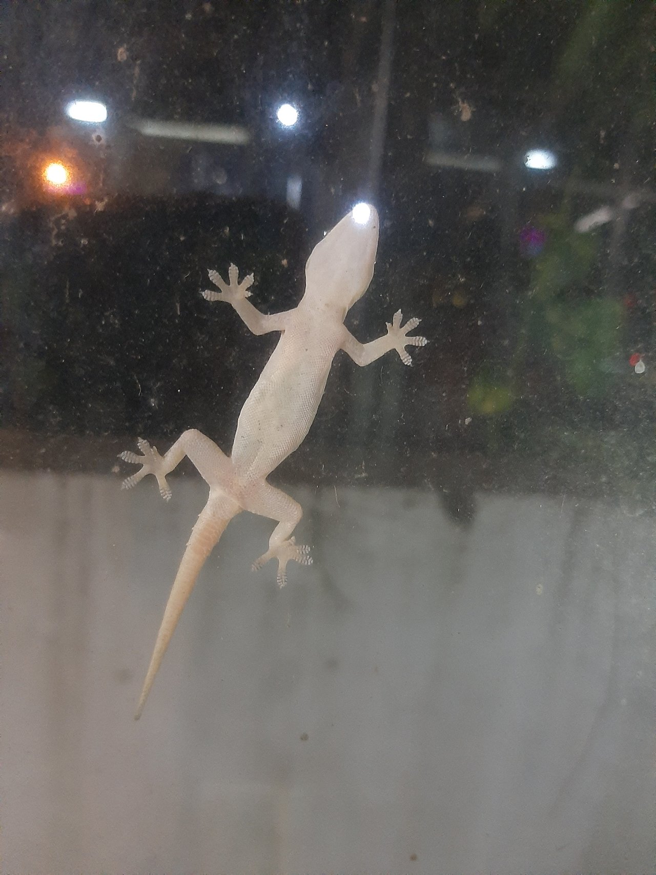 20201008_181437.jpg
