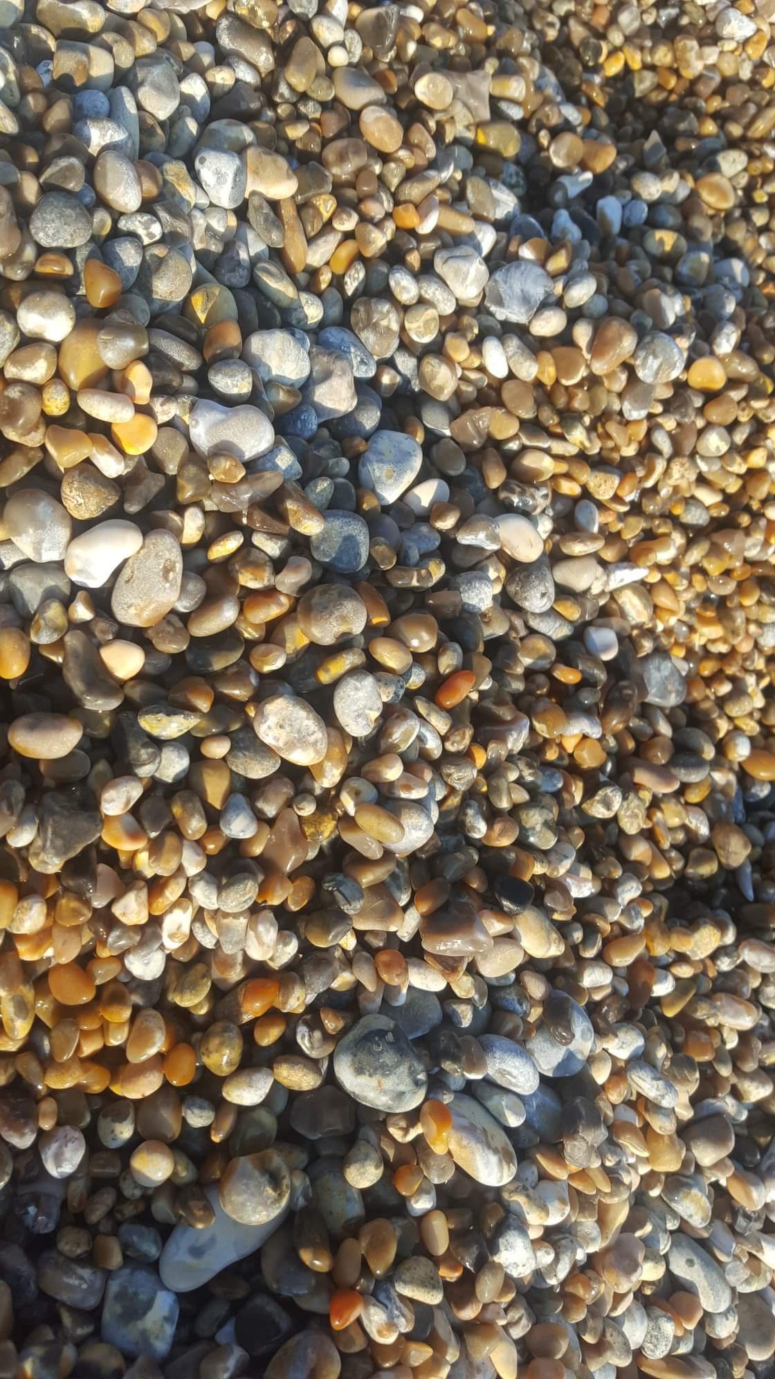 36892494_2236548369695391_3251376249792102400_o.jpg