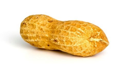 peanut.jpg