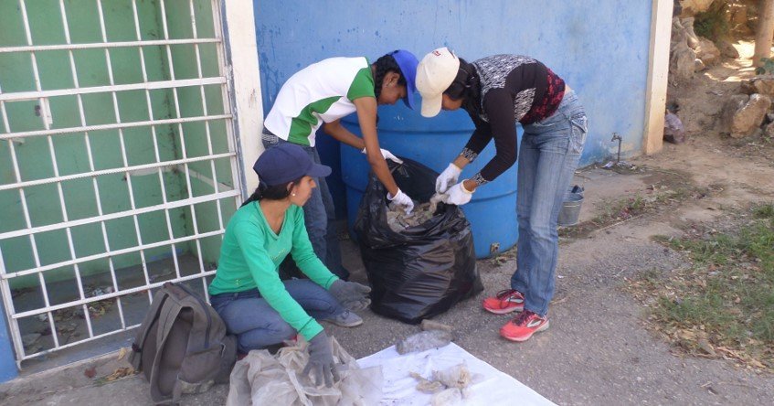 clasificando.jpg