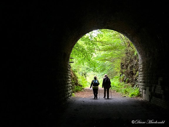 walkers leaving tunnel.jpg