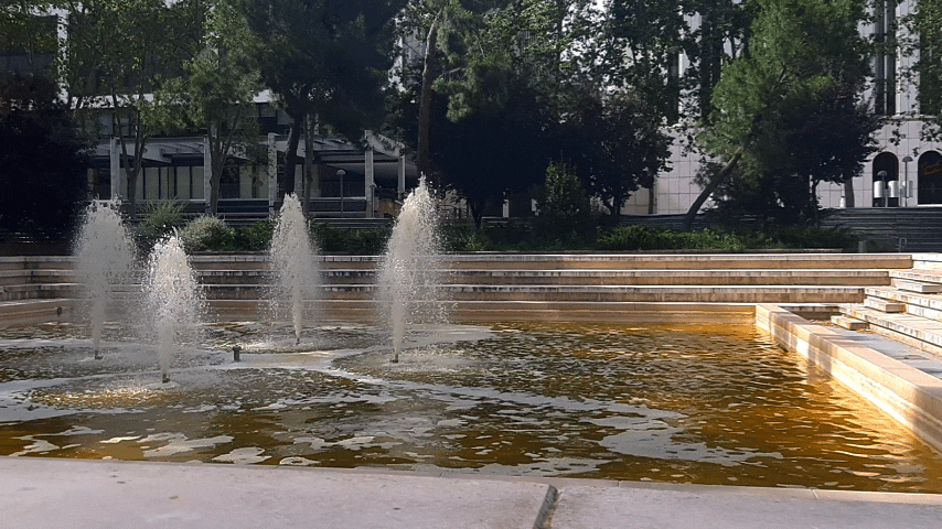 InShot_20250808_115542530.gif