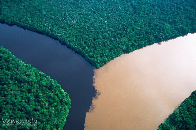 el+Rio+Orinoco+y+Caroni1.jpg