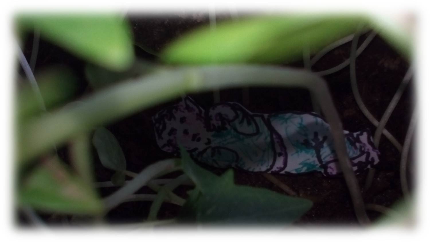 27 veintisiete A.jpg