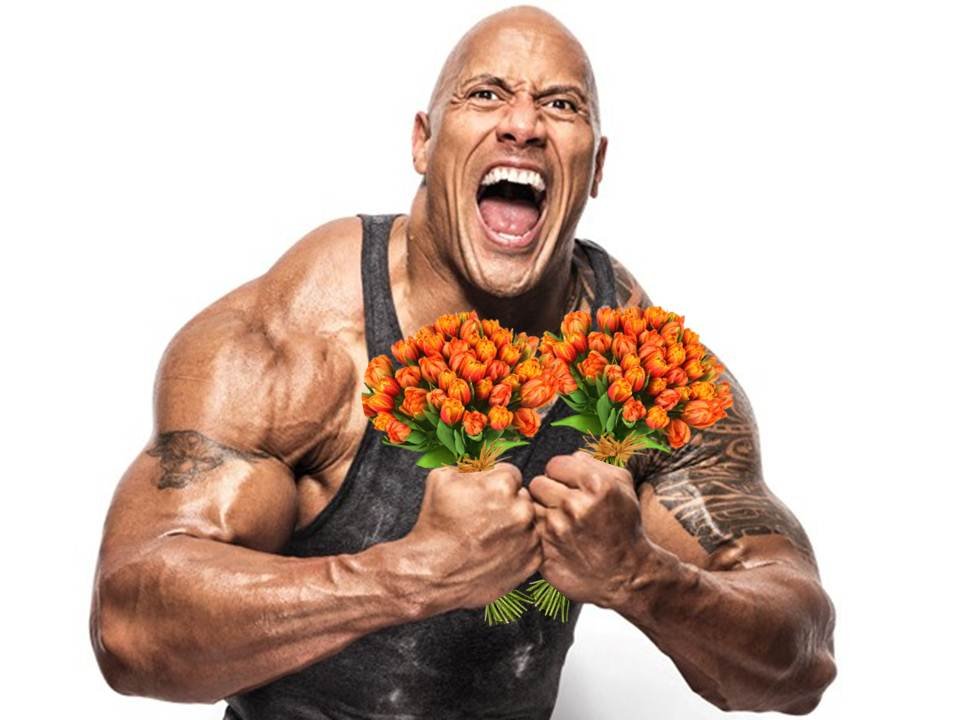 Diapositiva1.JPG