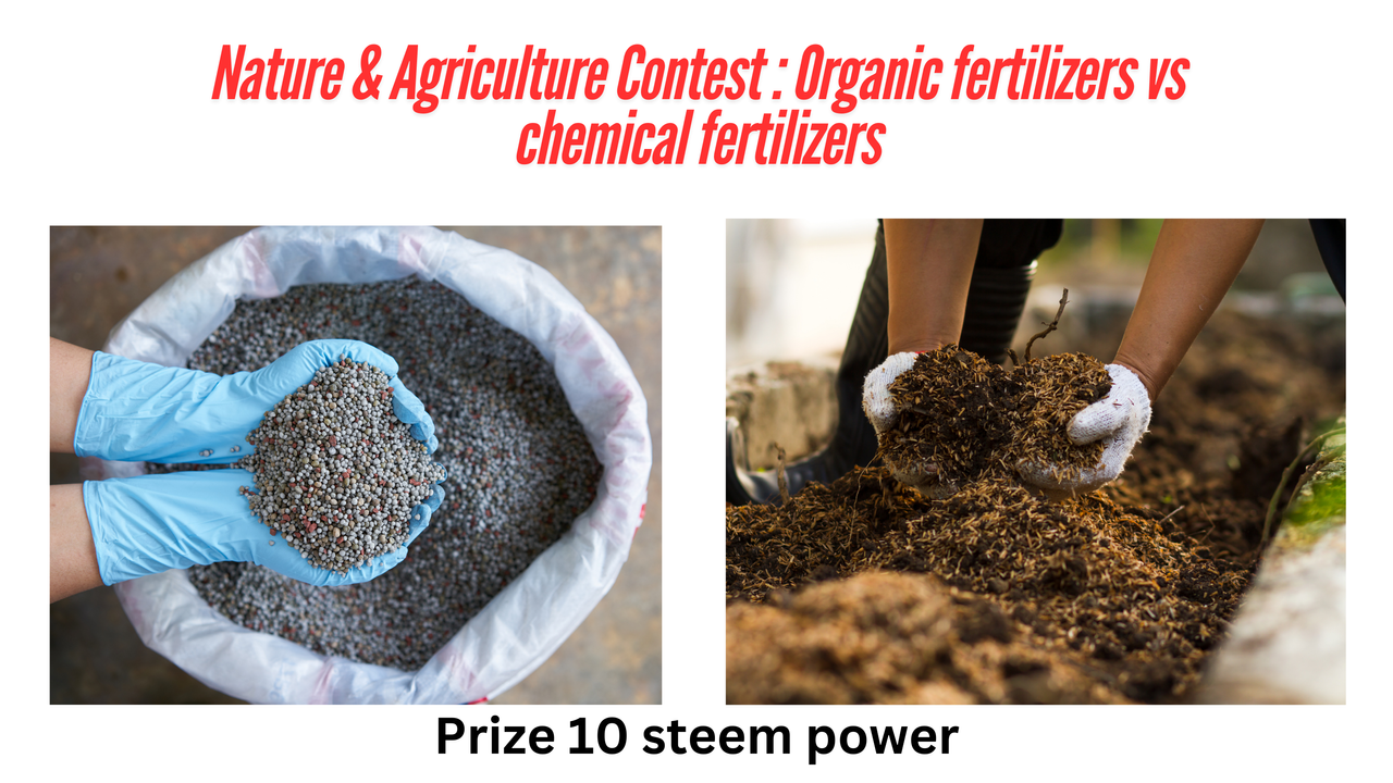 Nature & Agriculture Contest Organic fertilizers vs chemical fertilizers.png