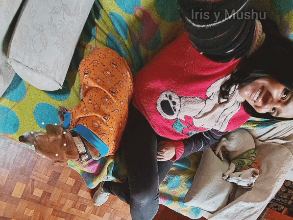 1000029667.gif