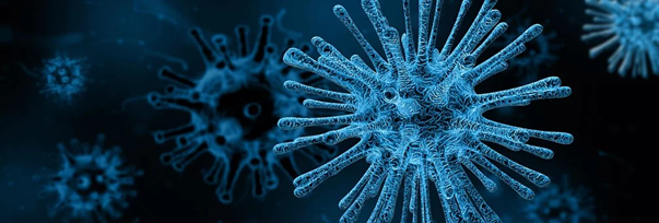 virus coronavirus.png