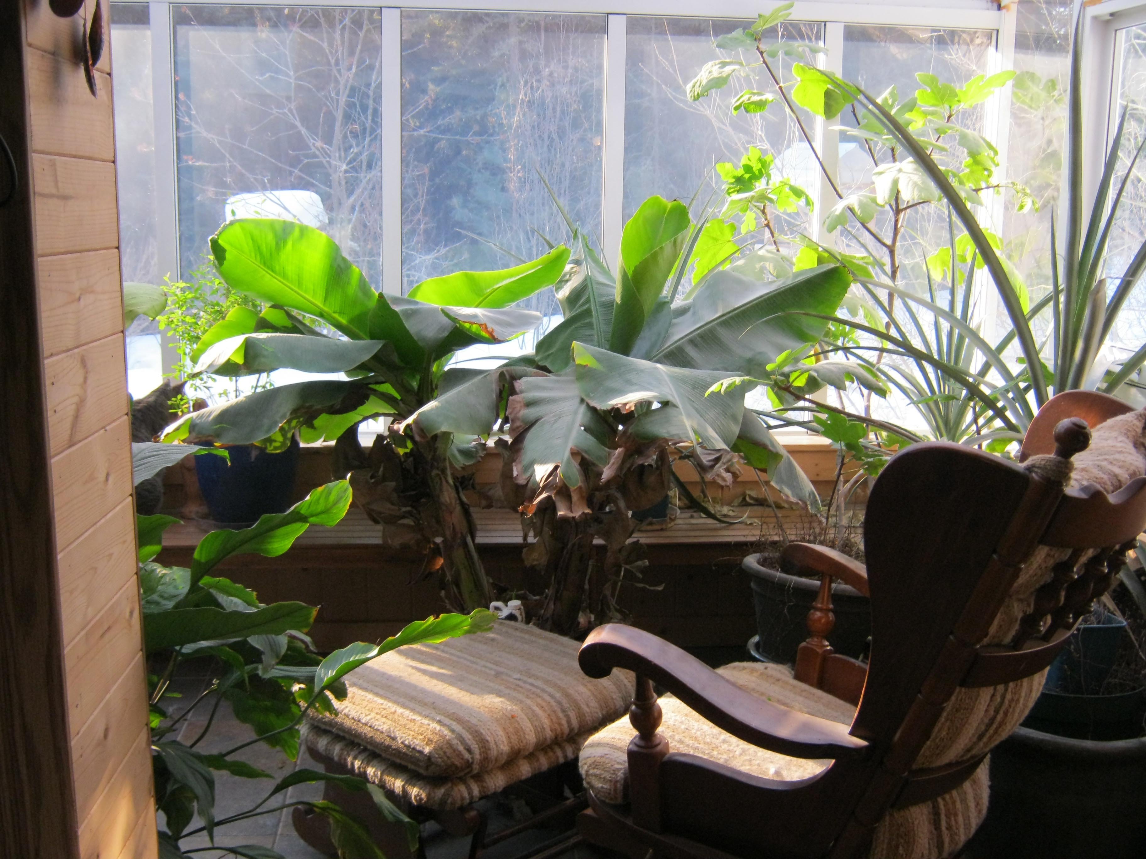 sunroom with rocking chair.jpg