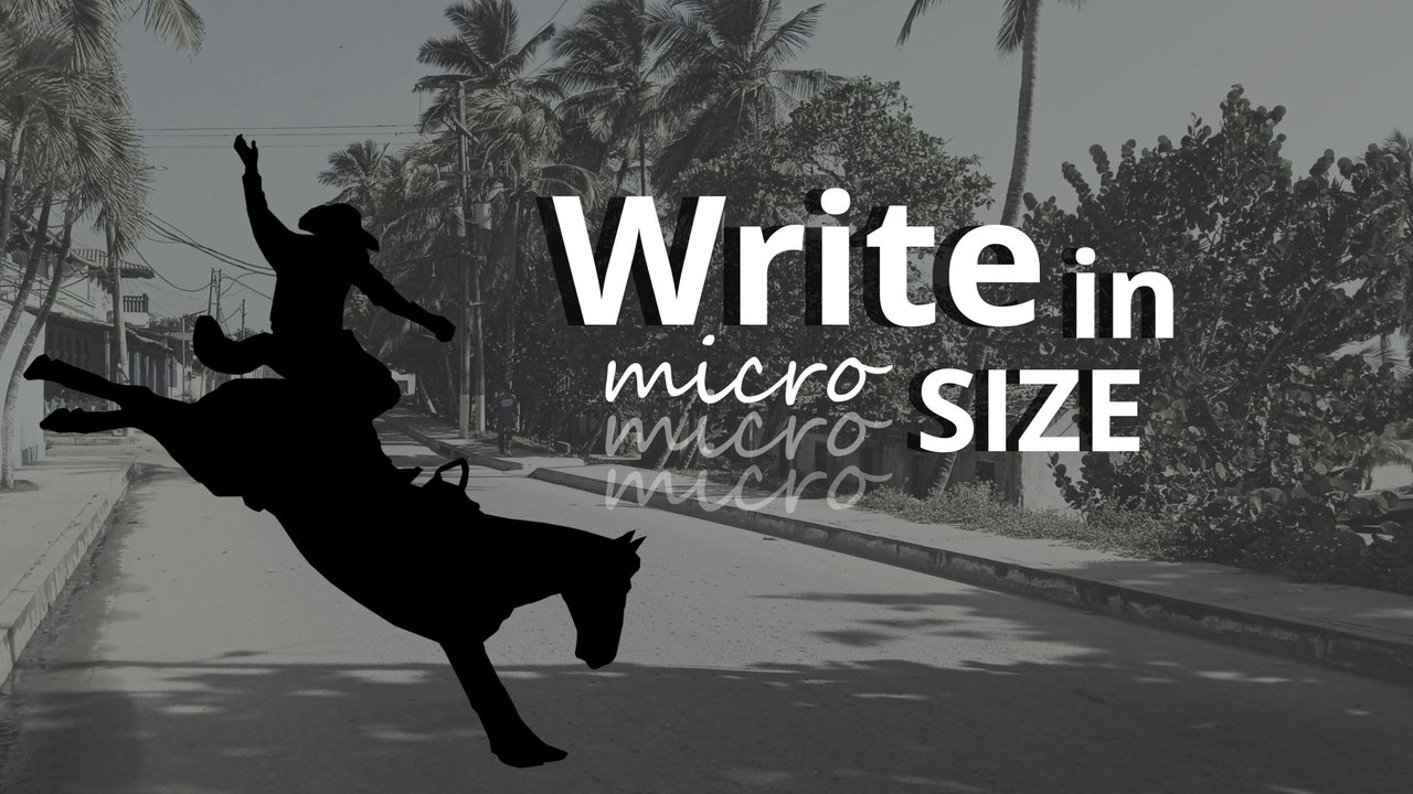 Write in micro size.jpg