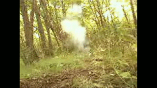image003.gif