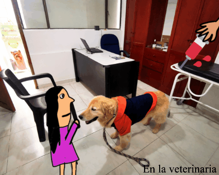 videotogif_2021.01.22_21.53.11.gif