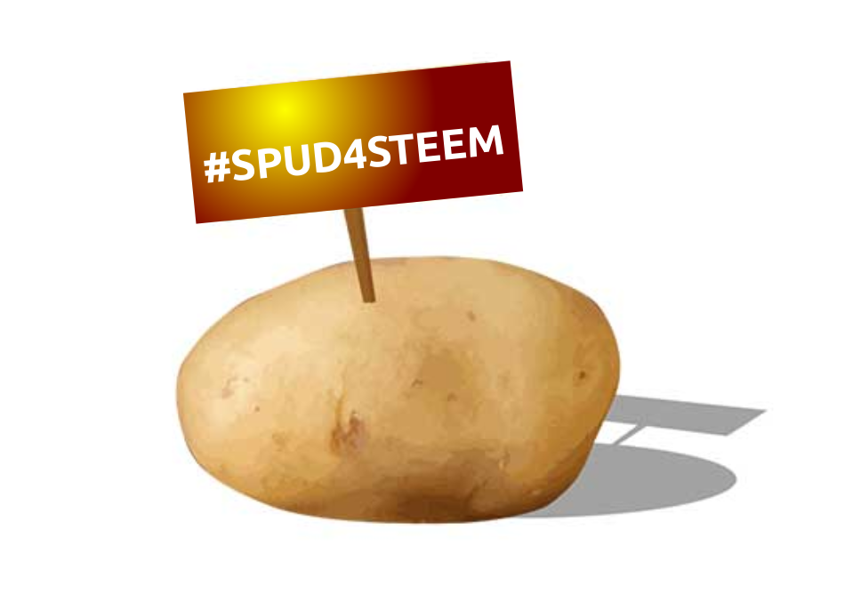 SPUD4STEEM.png