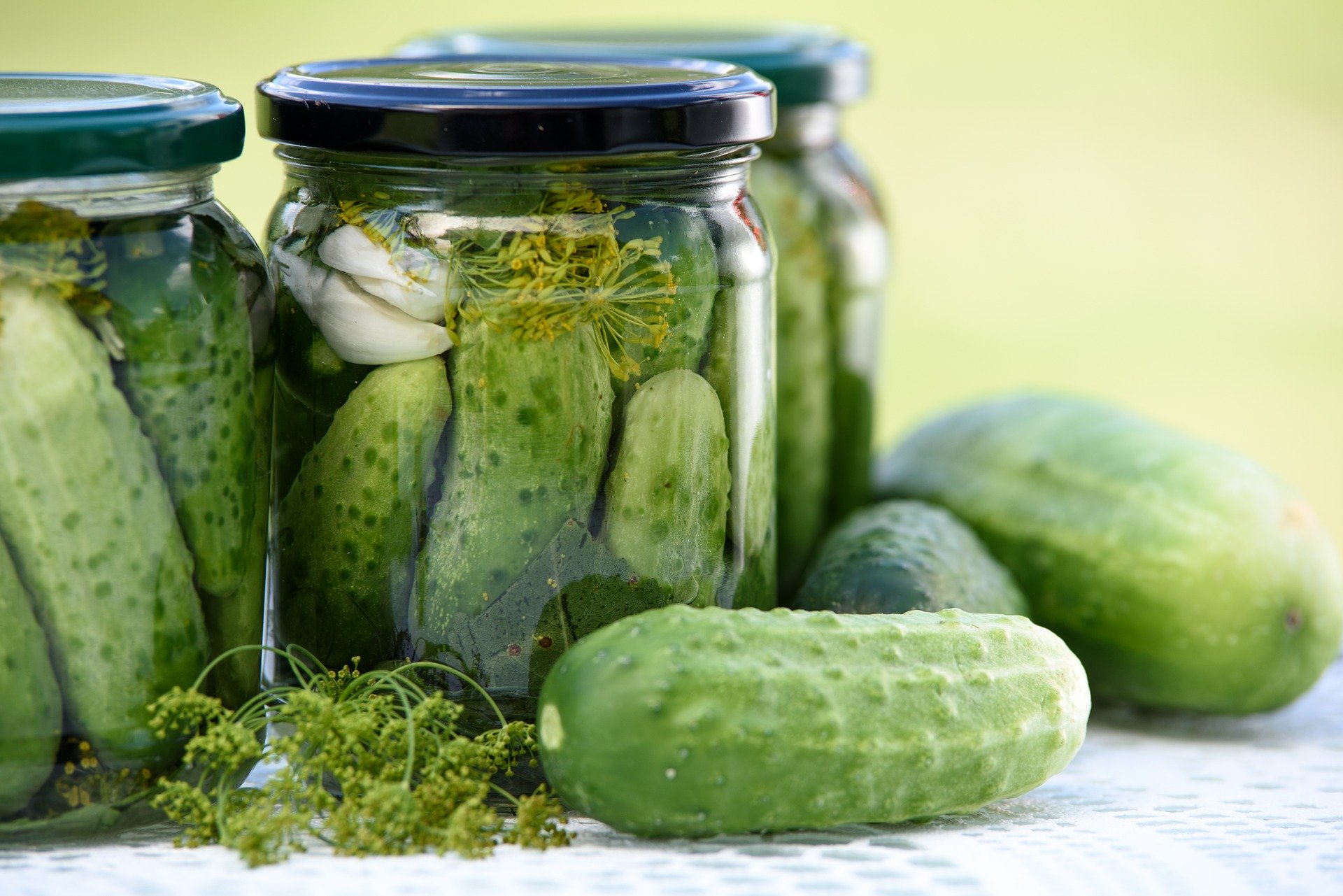 How to salt lightly salted cucumbers in a jar and in a package How to salt lightly salted cucumbers in a jar and in a package
