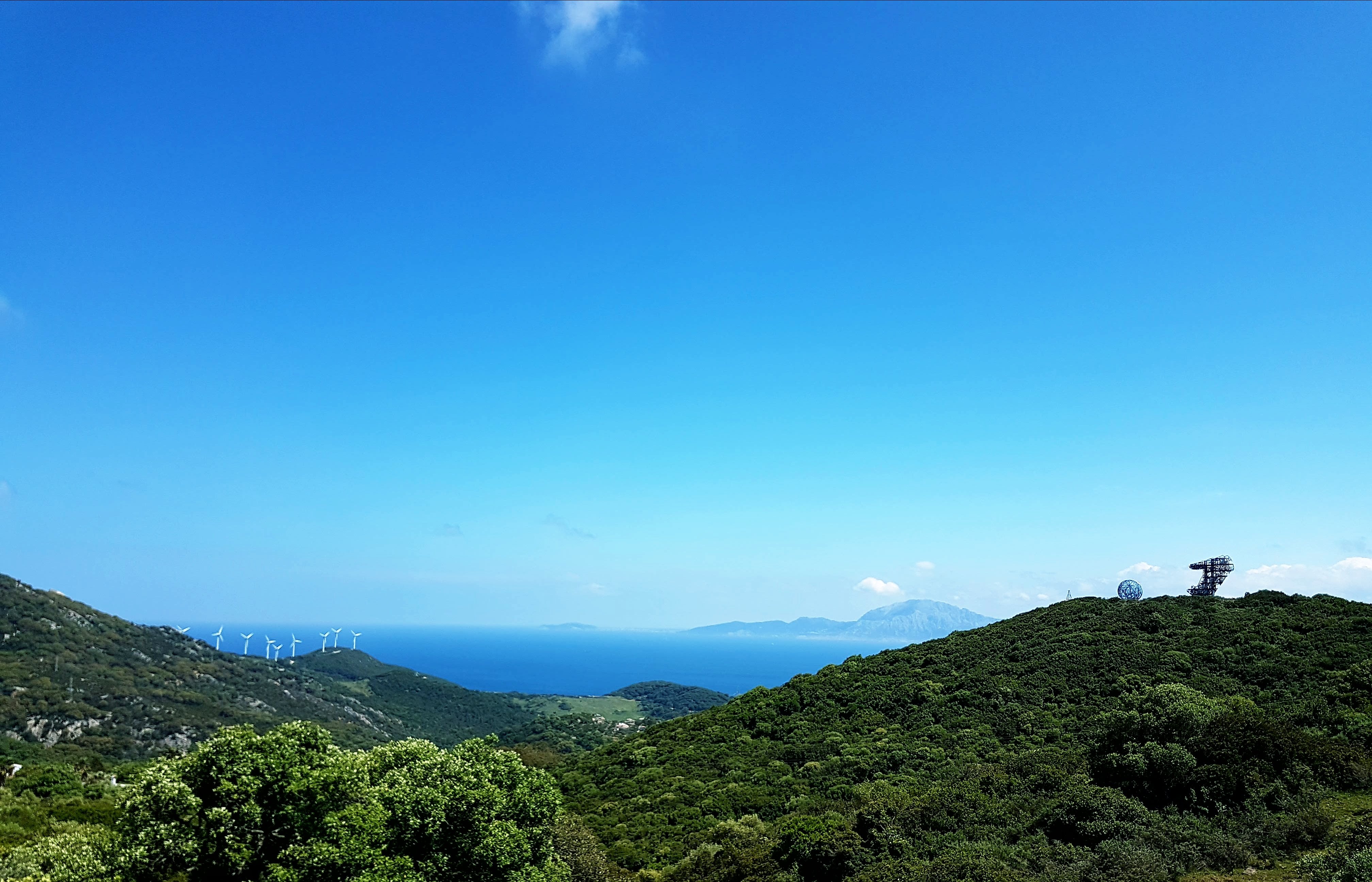 20180601_150441.jpg