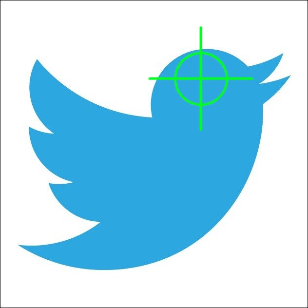 Twitter Bird Crosshairs .jpg