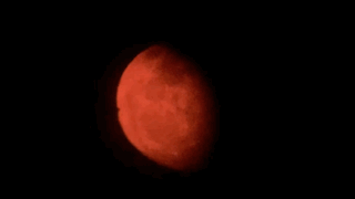 image.gif
