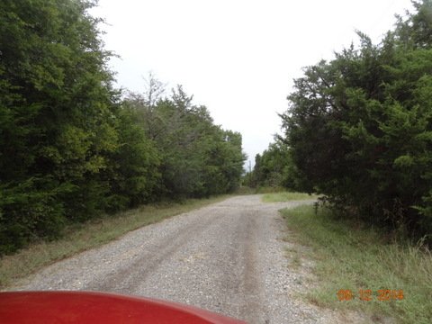 road.JPG