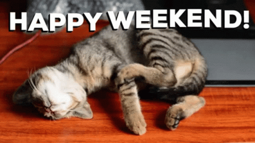 HaveAGoodWeekendHappyWeekendGIF.gif