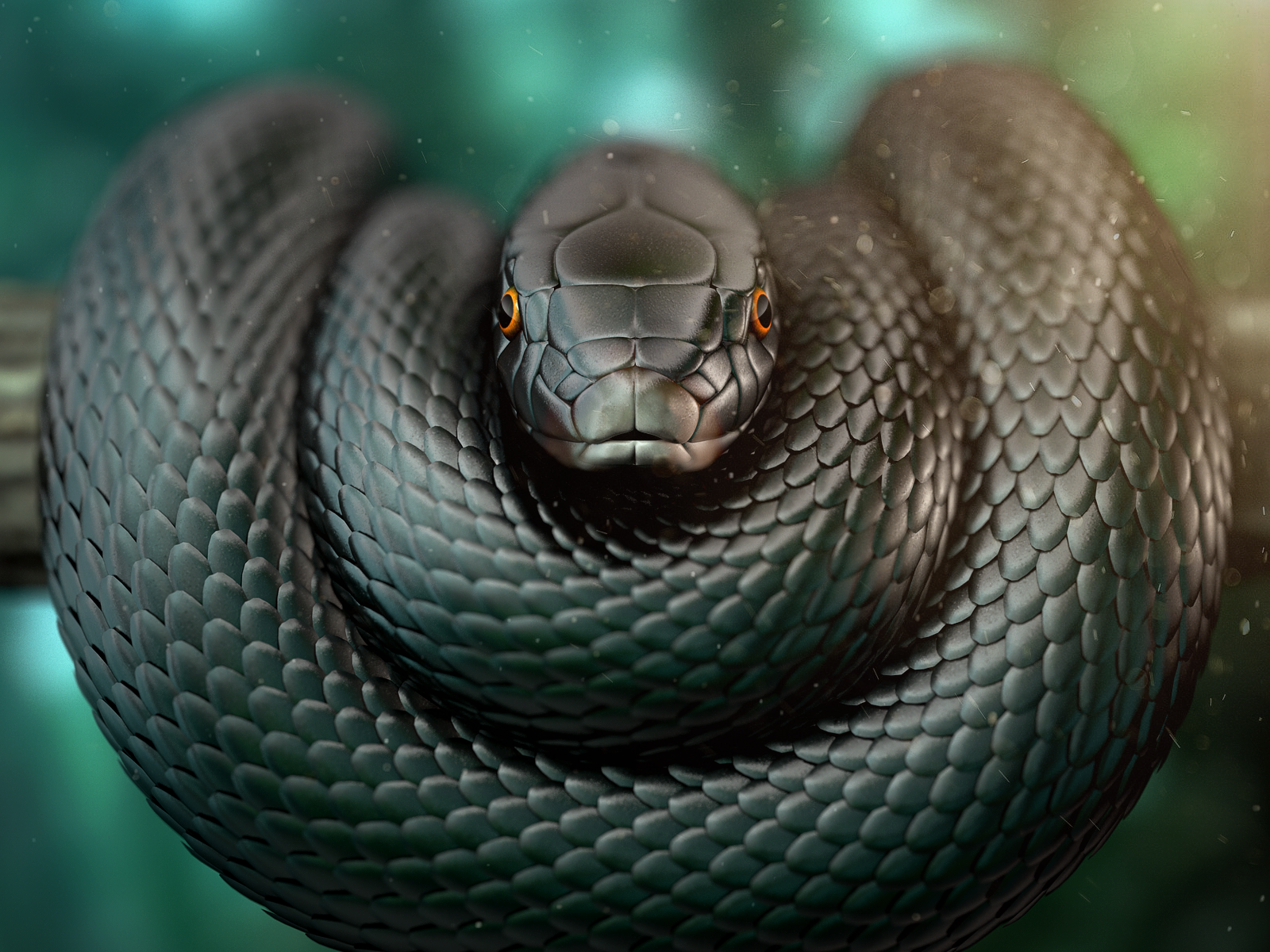 Black mamba run Run black mamba