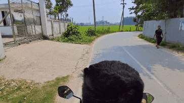 1000021452.gif