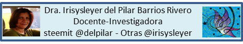 presentación1.png