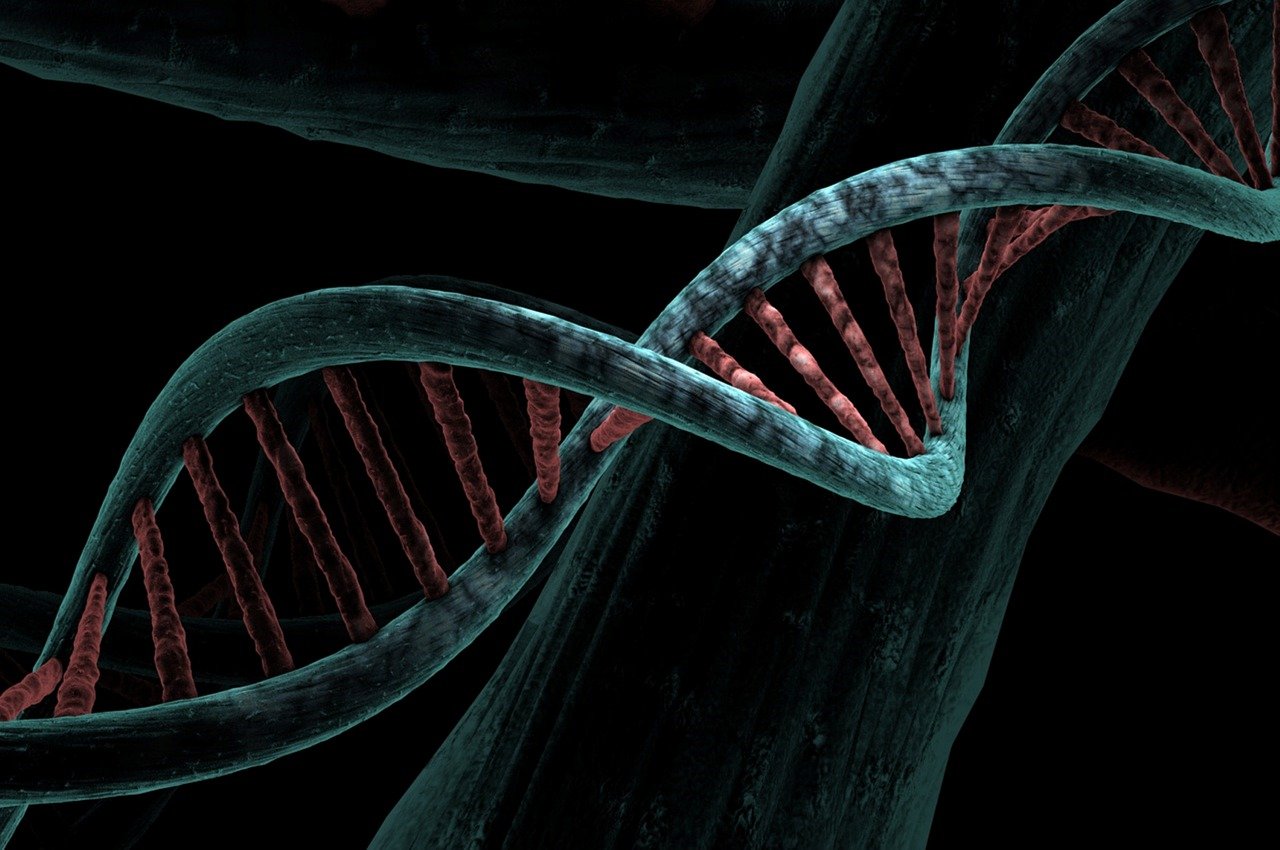 dna-6517209_1280.jpg