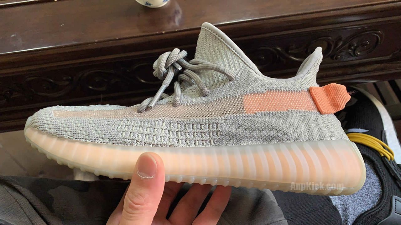 YEEZY 350 V2 TRUE FORM VS SESAMES COMPARISON