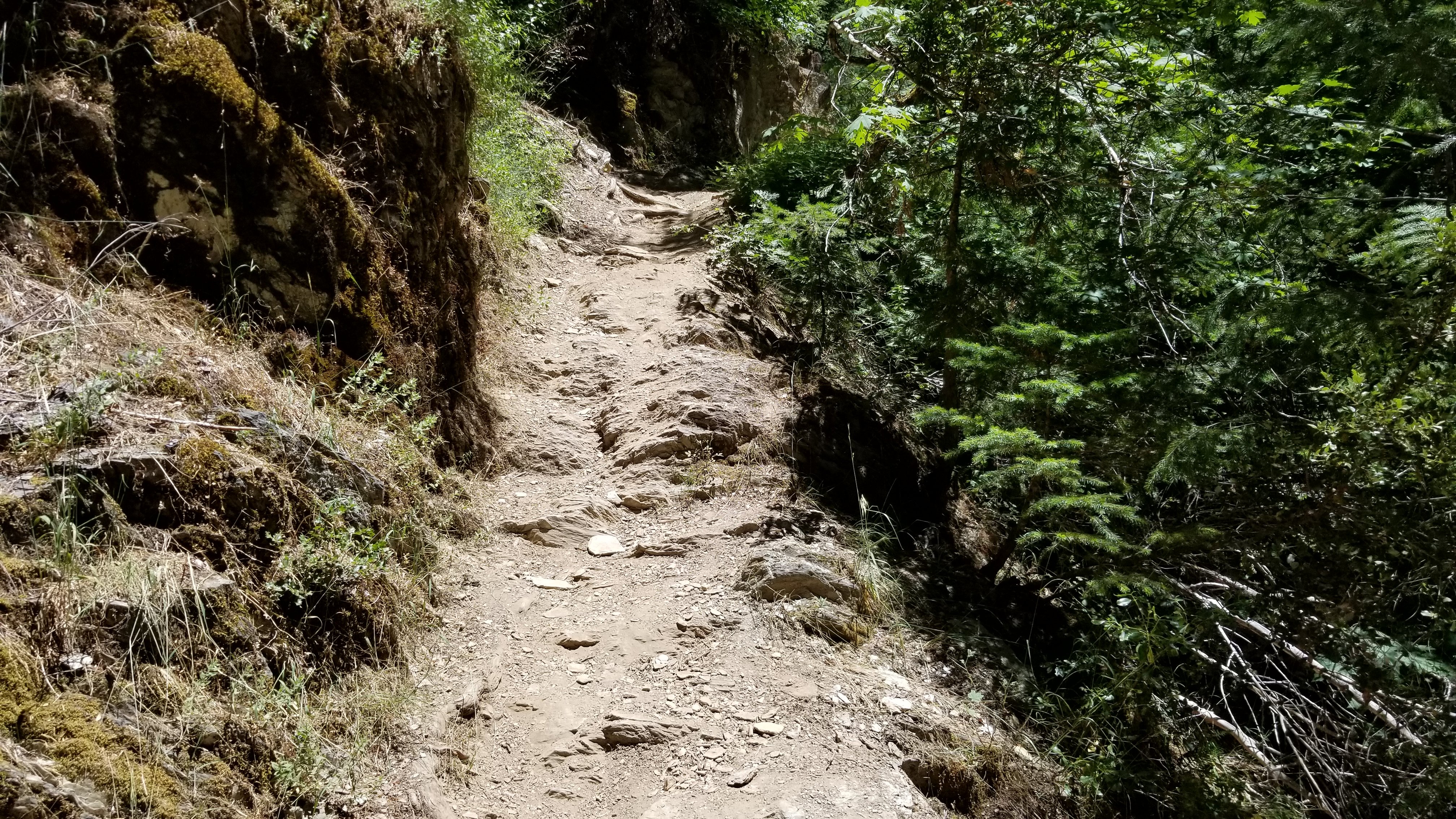 trail.jpg