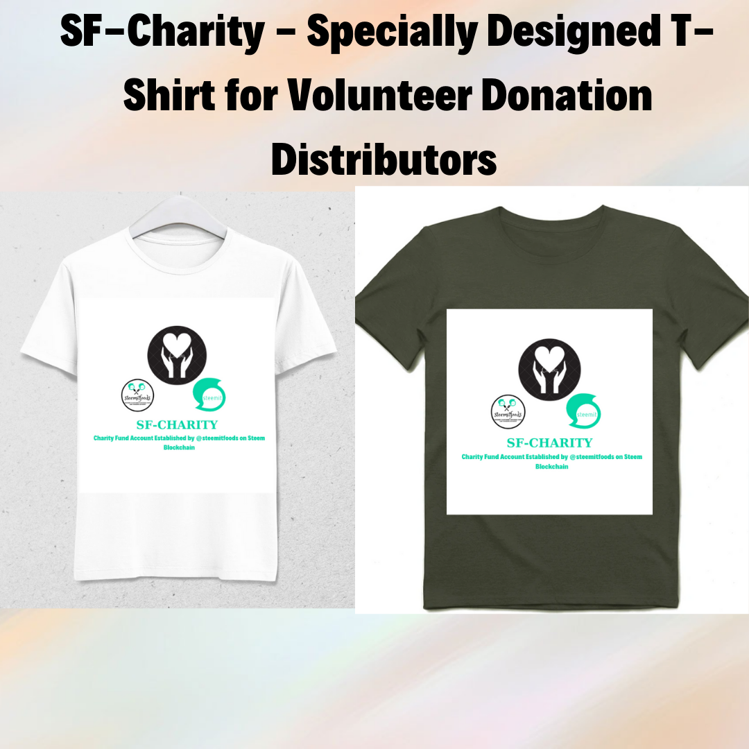 SF-Charity -T-Shirt .png