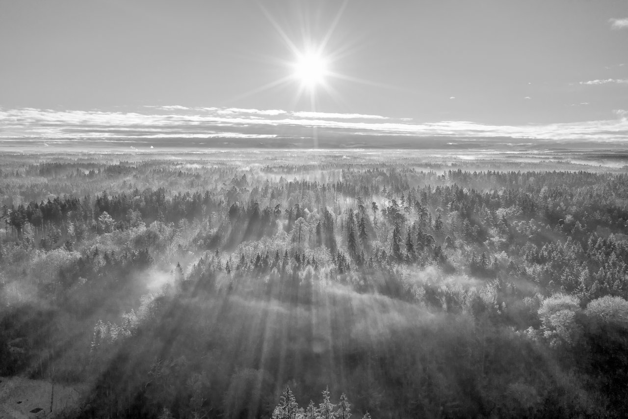201207 Oha Nebel Sonne 3--Foto-Exporte-2.jpg