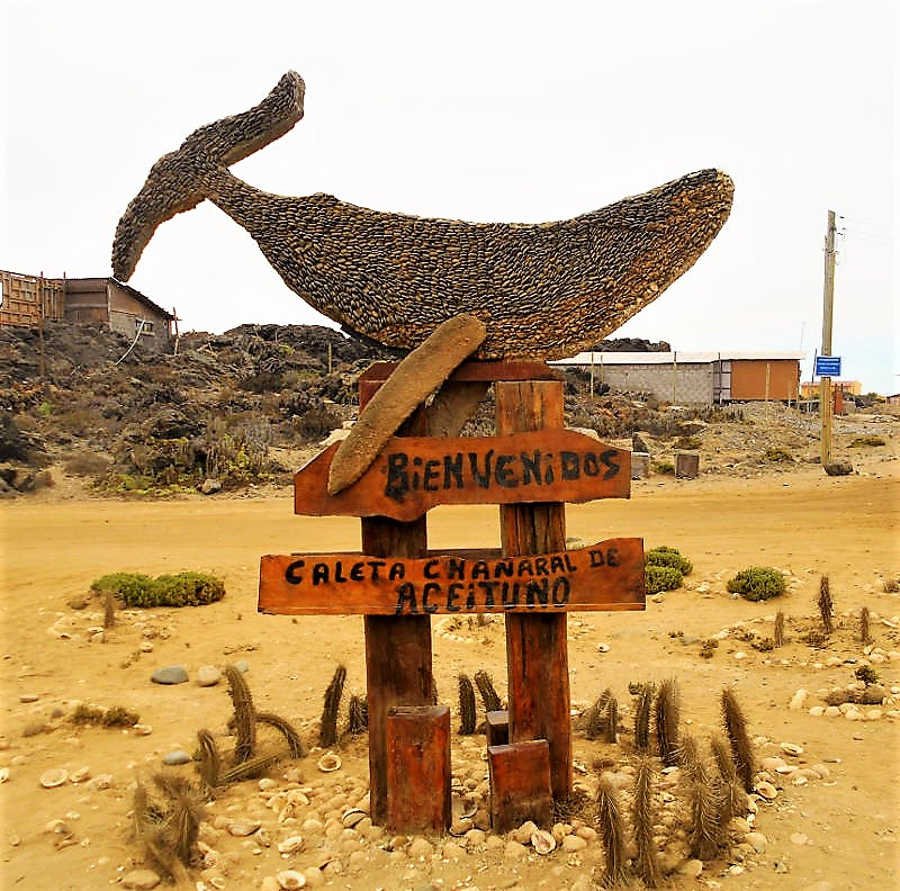 bienvenidos caleta chanaral.JPG