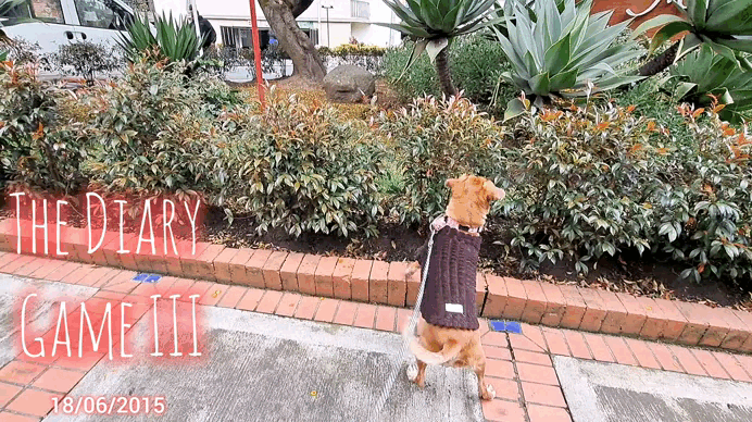 1000010230.gif