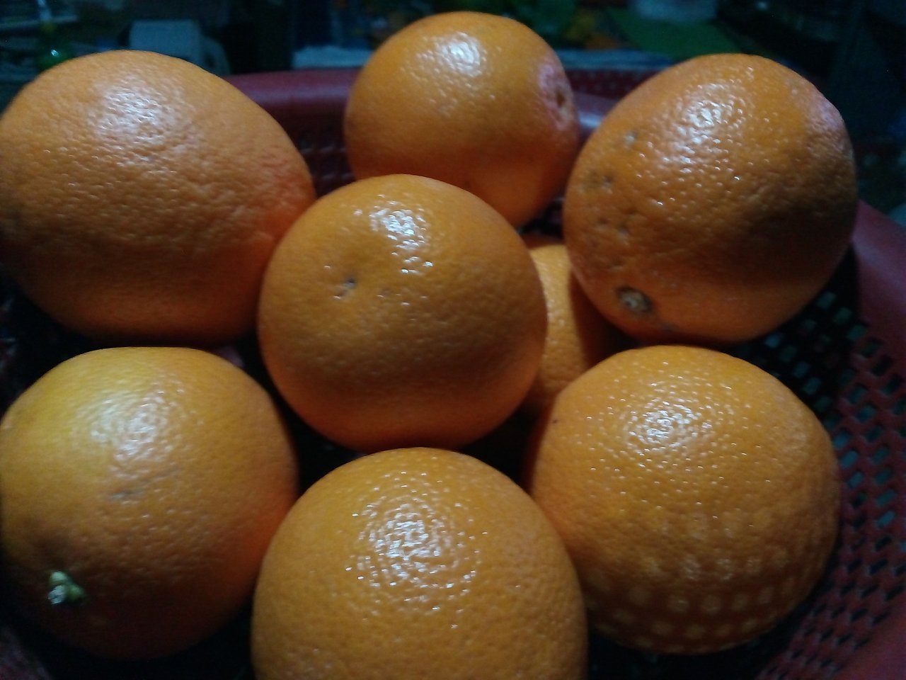 IMG_20201008_213202.jpg