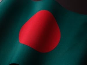 free-photo-of-the-national-flag-of-bangladesh.jpeg