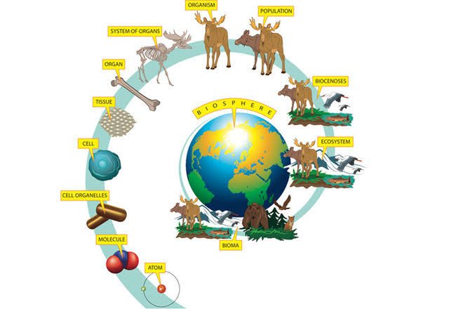 What Is Biology History Of Biology Steemkr