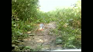 image002.gif