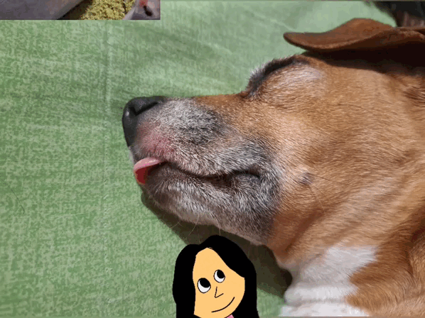 1000024876.gif