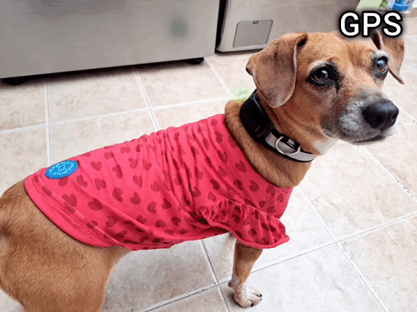 1000022001.gif