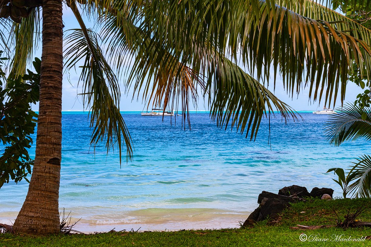 avea bay and boats-14huahine.jpg