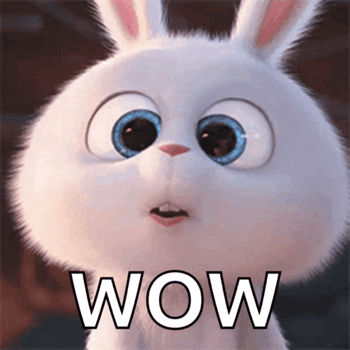 WowGIF.gif